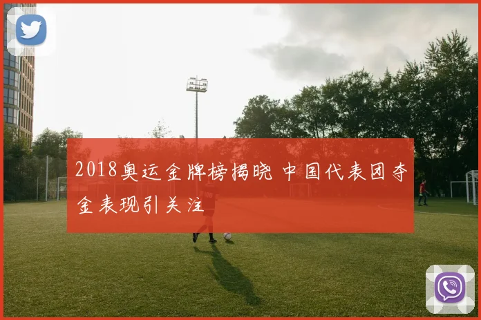 2018奥运金牌榜揭晓 中国代表团夺金表现引关注