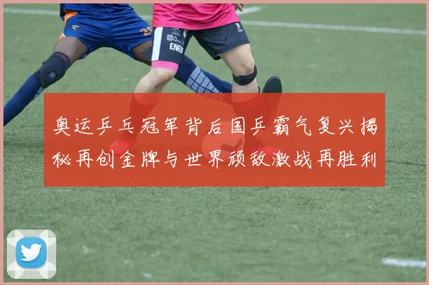 奥运乒乓冠军背后国乒霸气复兴揭秘再创金牌与世界顽敌激战再胜利