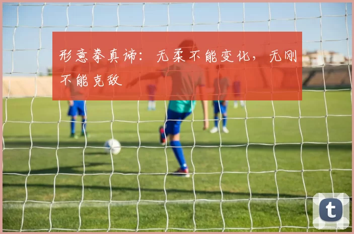 形意拳真谛：无柔不能变化，无刚不能克敌