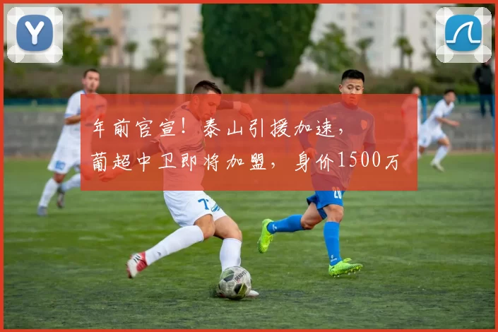 年前官宣！泰山引援加速， ​​​葡超中卫即将加盟，身价1500万