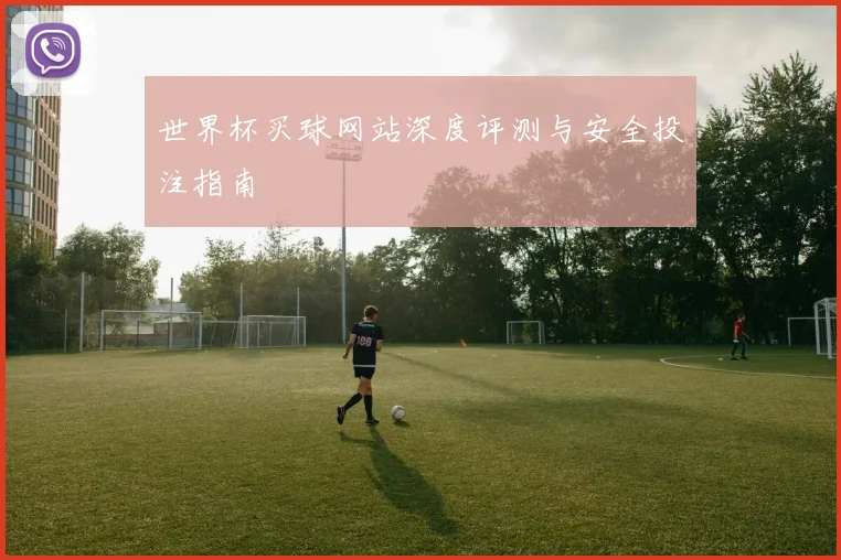 世界杯买球网站深度评测与安全投注指南