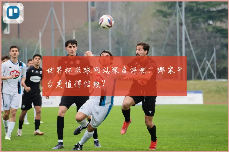 世界杯买球网站深度评测:哪家平台更值得信赖?