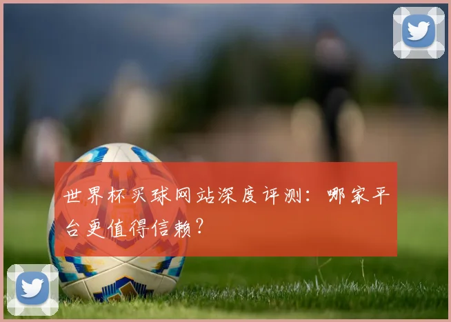 世界杯买球网站深度评测:哪家平台更值得信赖?